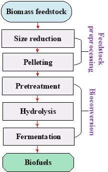 Effects of Biomass Particle Size in Cellulosic Biofuel Production