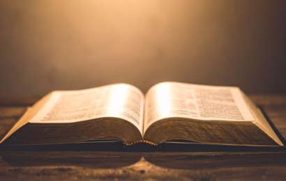 Critical Literature Review