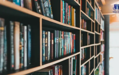 literature review example