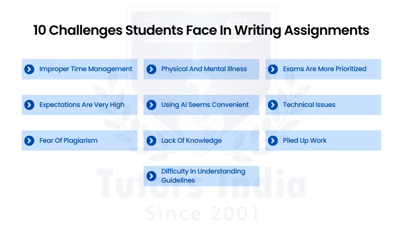 Master’s Assignment Writing Help in UAE