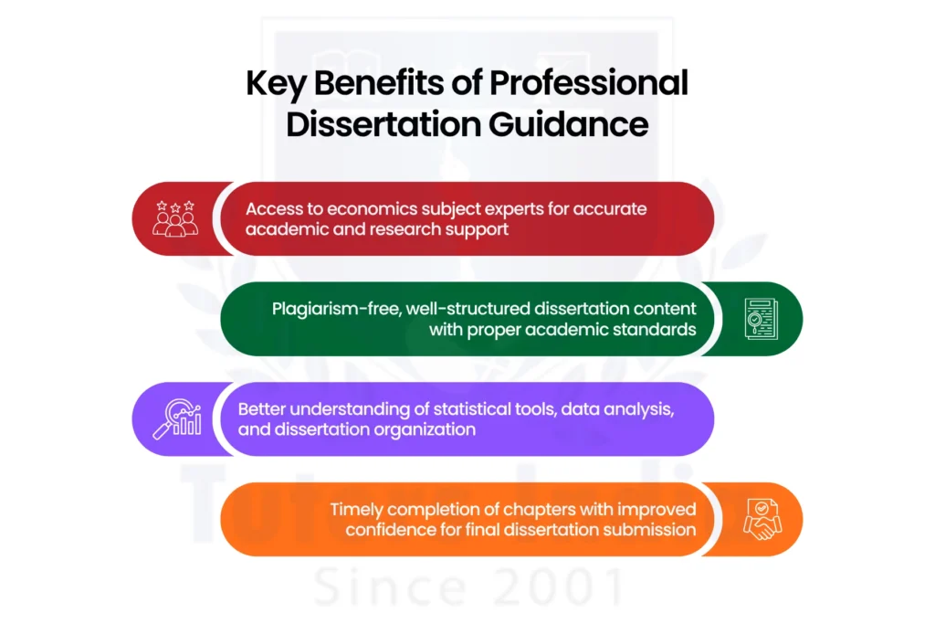 Master's Economics Dissertation Help in UK