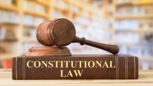 Thumbline Image - Dissertation proposal for Master's Constitutional Law