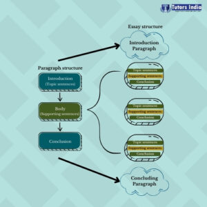 paragraph structure