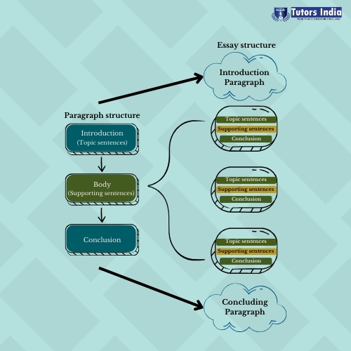 Struggling to Structure Your Assignment Writing? Overcome Challenges with Tutors India