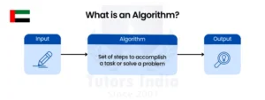 Master's Coding and Algorithm Help in UAE