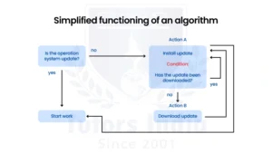 Master's Coding and Algorithm Help in UAE