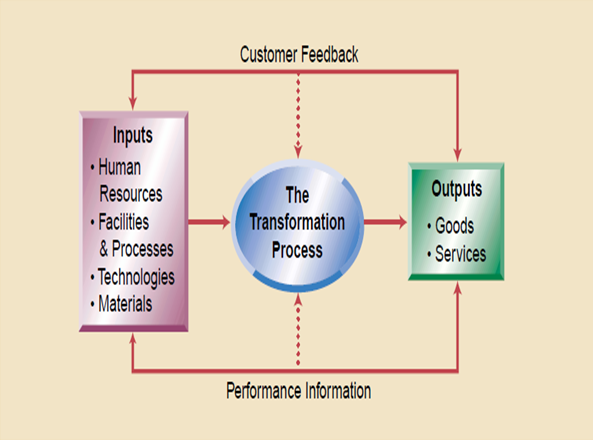 Customer Feedback