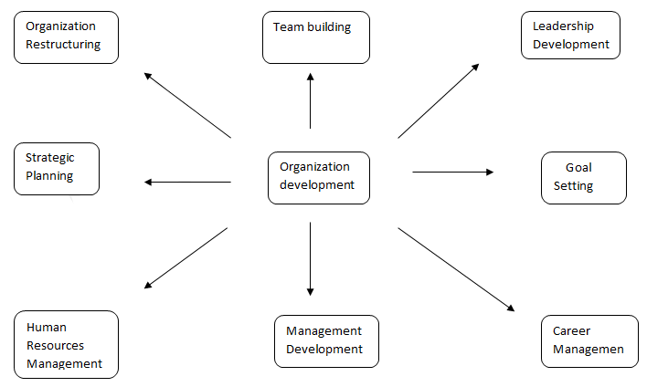 Organization Structure