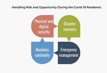 Handling-Risk-and-Opportunity-During-the-Covid-19-Pandemic-Situation-International-Brand-Resilience